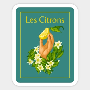 Les Citron Illustration - Lemon Citrus Design Sticker